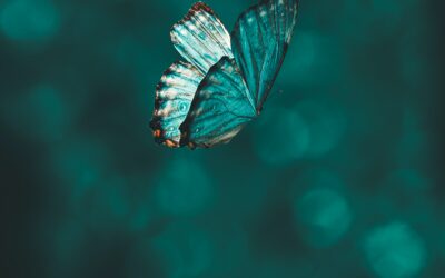 Why Do I Do What I Do?